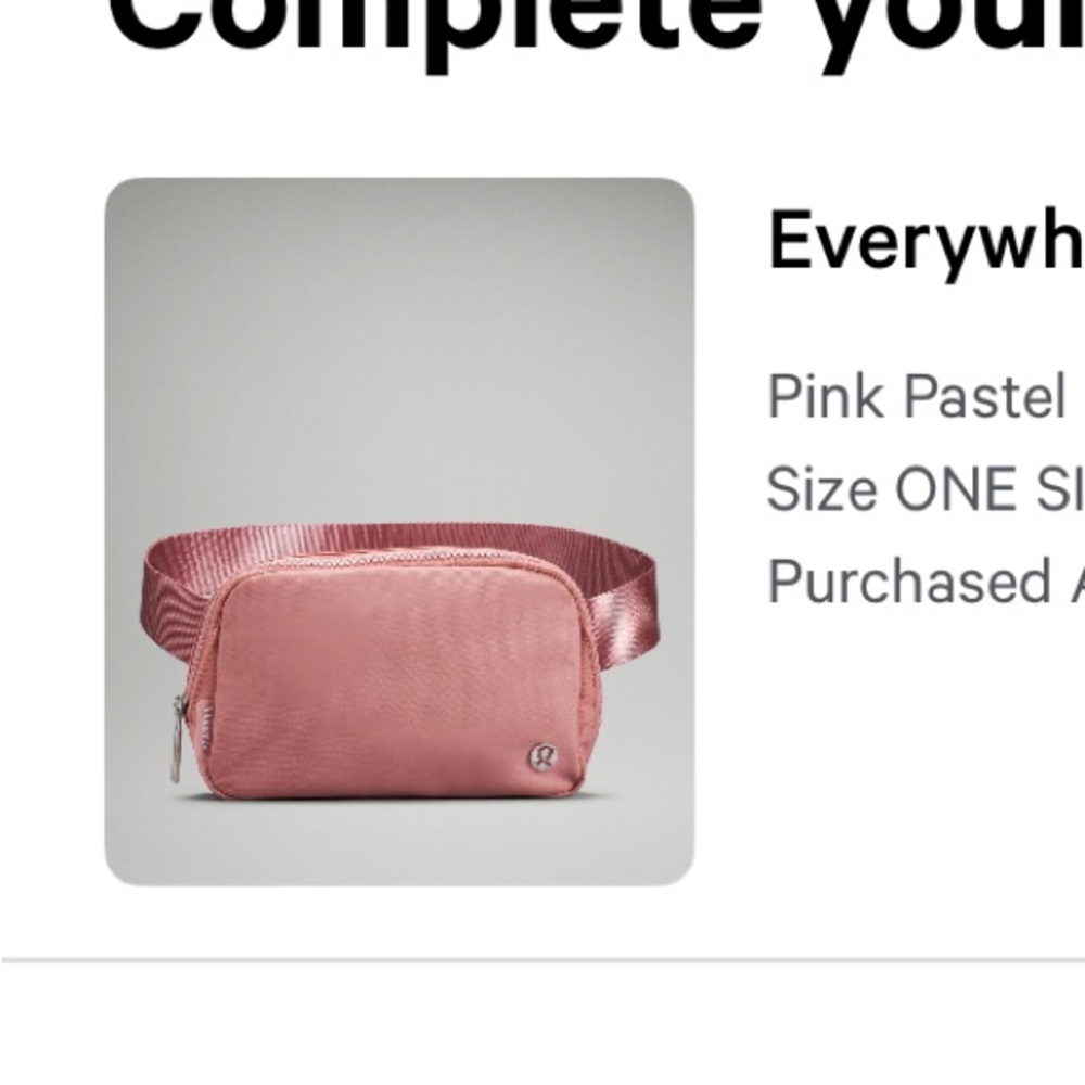 Everywhere belt bag